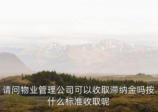 上海市物業費滯納金標準，請問物業管理公司可以收取滯納金嗎按什么標準收取呢