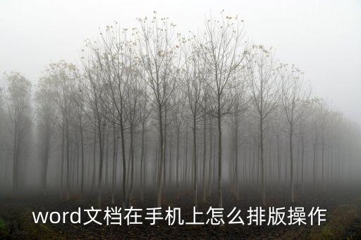 如何排版，word文檔在手機上怎么排版操作