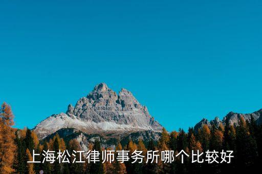 上海松江律師事務(wù)所哪個比較好