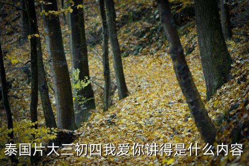 初三大四我愛你，關(guān)于初三大四我愛你