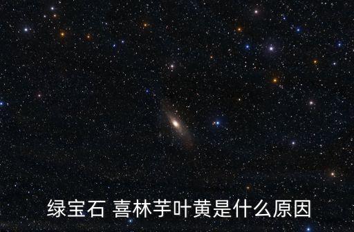  綠寶石 喜林芋葉黃是什么原因
