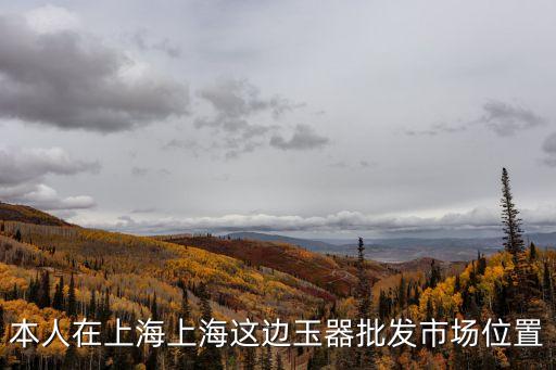 本人在上海上海這邊玉器批發市場位置