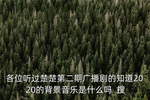 秦萬民，各位聽過楚楚第二期廣播劇的知道20 20的背景音樂是什么嗎  搜