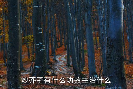 炒芥子的功效與作用，炒芥孑有什么功效主治什么