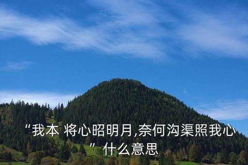 “我本 將心昭明月,奈何溝渠照我心”什么意思