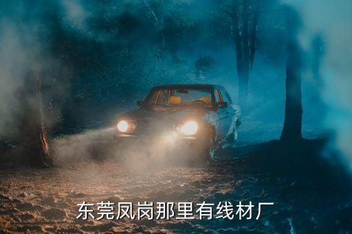 東莞市天宇線材有限公司，東莞鳳崗那里有線材廠