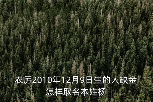 農厲2010年12月9日生的人缺金怎樣取名本姓楊