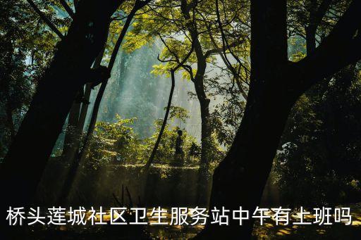 橋頭蓮城社區(qū)衛(wèi)生服務(wù)站中午有上班嗎