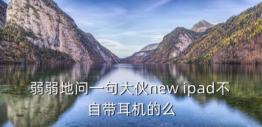 弱弱地問一句大伙new ipad不自帶耳機的么