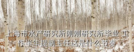 上海市水產研究所剛剛研究所畢業 工作半年提副主任這是什么節奏