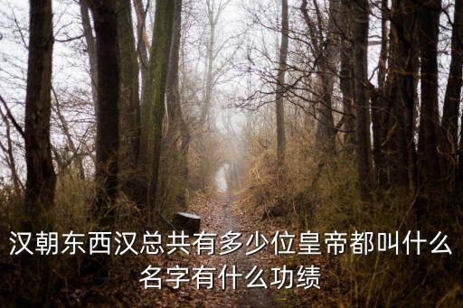 漢朝東西漢總共有多少位皇帝都叫什么名字有什么功績