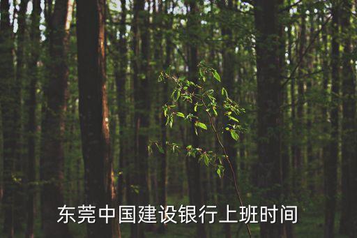 東莞中國建設銀行上班時間