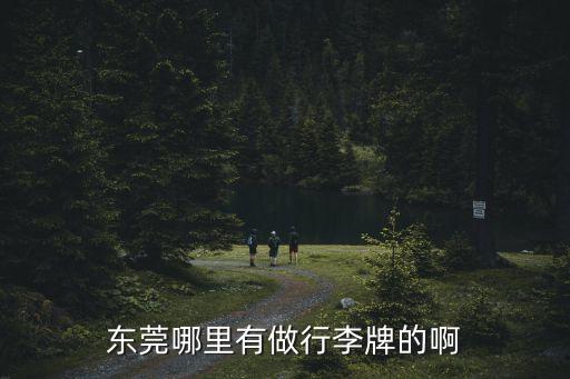 東莞東城凱泰塑膠制品有限公司，東莞哪里有做行李牌的啊