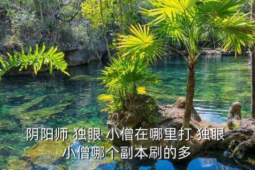 陰陽(yáng)師 獨(dú)眼 小僧在哪里打 獨(dú)眼 小僧哪個(gè)副本刷的多