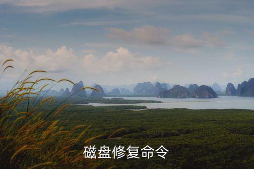 磁盤修復命令