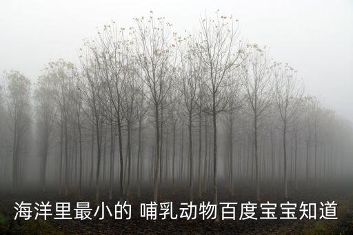 世界上最小的哺乳動物,世界最小海洋哺乳動物是一種海獺