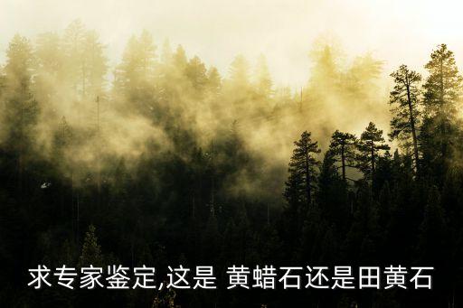 黃蠟石鑒別,第一塊黃蠟石頭:黃色最常見!