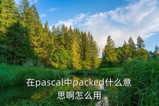 在pascal中packed什么意思啊怎么用
