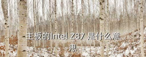 主板的Intel Z87 是什么意思