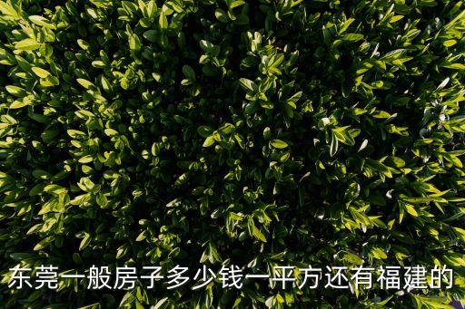 東莞一般房子多少錢一平方還有福建的