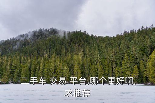 二手車交易平臺(tái)哪個(gè)好,本地四家汽車品牌推出二手車零售業(yè)務(wù)