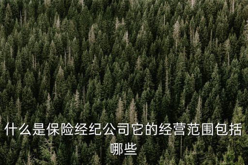 保險(xiǎn)中介公司，國(guó)內(nèi)有哪些好的保險(xiǎn)經(jīng)紀(jì)公司