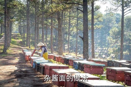 雜醬面的雜醬怎么做,四川私家秘制雜醬面