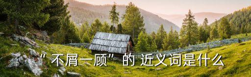 “ 不屑一顧”的 近義詞是什么