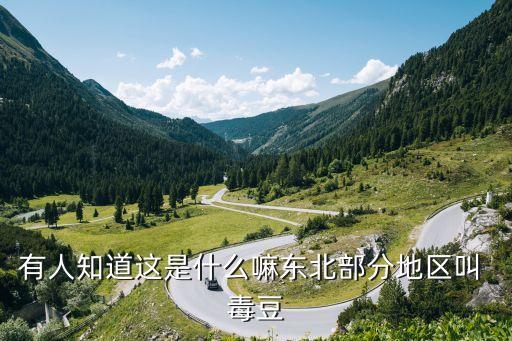 毒豆,白羽味辛、甘、溫有毒可吃嗎?