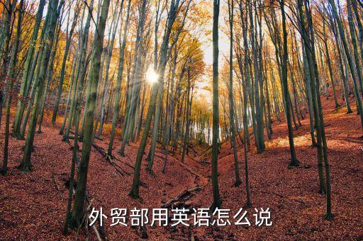 外貿部，外貿部用英語怎么說