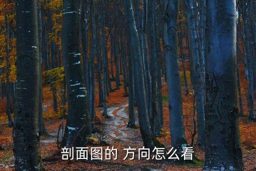 剖切符號方向怎么看,建筑工程施工圖剖面如何看?