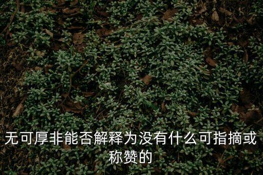 無(wú)可厚非的意思，無(wú)可厚非能否解釋為沒(méi)有什么可指摘或稱(chēng)贊的