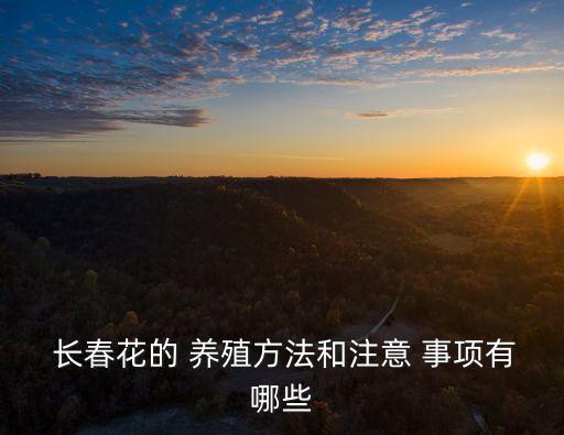 長春花的 養殖方法和注意 事項有哪些