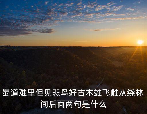 蜀道難里但見悲鳥好古木雄飛雌從繞林間后面兩句是什么