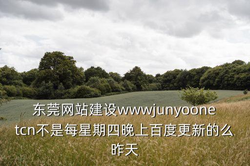 東莞網站建設wwwjunyoonetcn不是每星期四晚上百度更新的么昨天