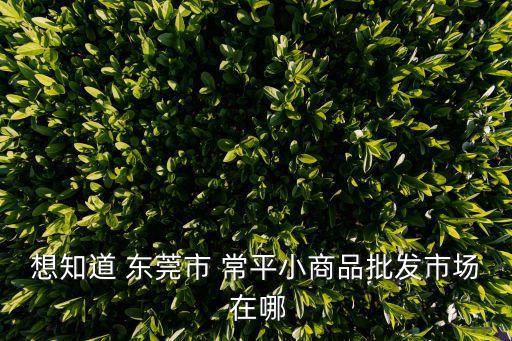 想知道 東莞市 常平小商品批發(fā)市場 在哪