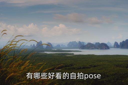 姿勢圖片，什么是肘膝位