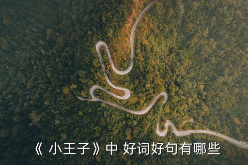 小王子好詞,小王子再問(wèn)一次酒鬼道工走出火車(chē)轟鳴