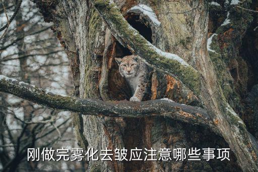 霧化除皺，剛做完霧化去皺應(yīng)注意哪些事項(xiàng)