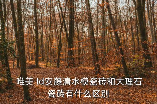 唯美ld,唯美瓷磚行業排名靠前品牌歷史悠久