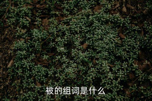 被的組詞是什么