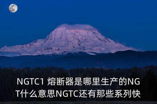 東莞西熔熔斷器原廠，RCA瓷插式熔斷器的規(guī)格是多大