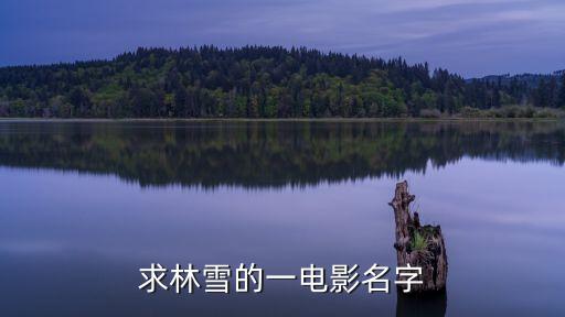 林雪黃日華東莞仔，描寫兩幫槍手的馮淬帆演一個造槍的高手演員有黃日華林雪
