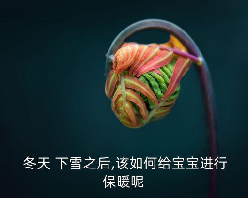 冬天下雪的圖片,哈爾濱下雪一年級(jí)看圖寫字