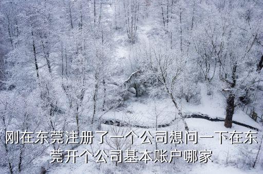 東莞新辦企業(yè)基本戶，剛在東莞注冊了一個公司想問一下在東莞開個公司基本賬戶哪家