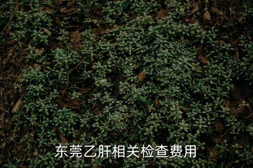 東莞乙肝相關檢查費用