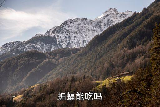 蝙蝠能吃嗎