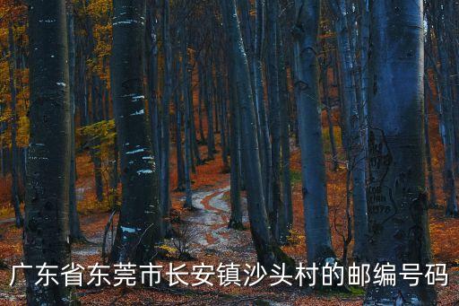 東莞沙頭的郵政編碼是多少，廣東省東莞市長(zhǎng)安鎮(zhèn)沙頭村的郵編號(hào)碼