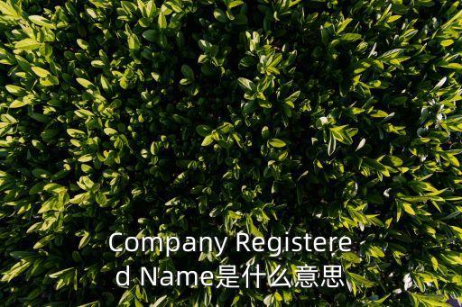 東莞市華諾合金有限公司英文翻譯，Company Registered Name是什么意思