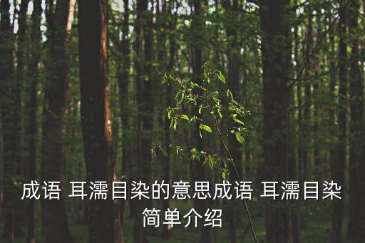 成語 耳濡目染的意思成語 耳濡目染簡單介紹